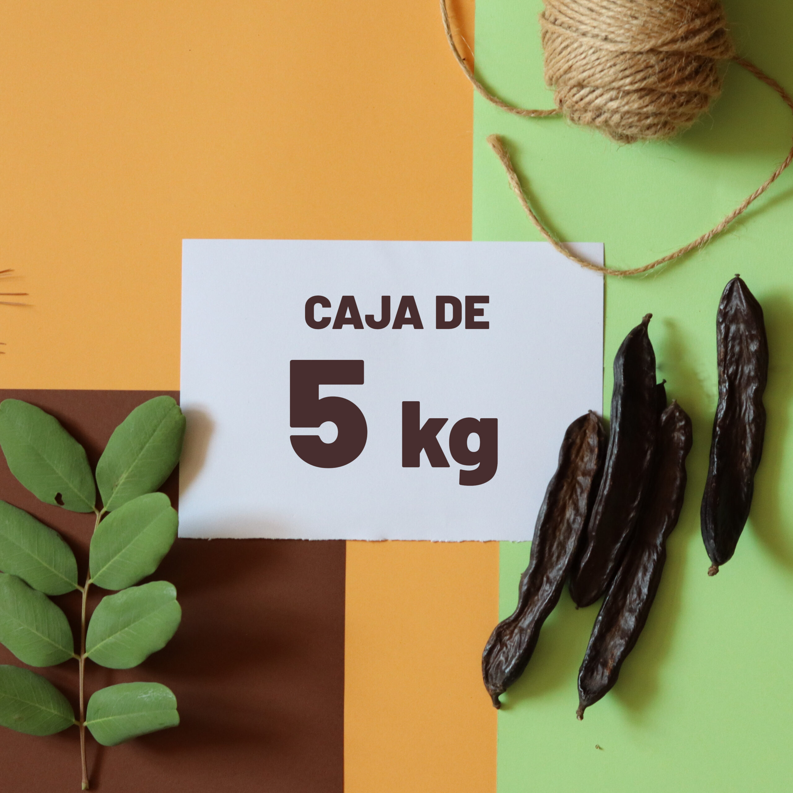 Caja de algarroba ecológica en vaina entera, 5 kg, Fruits de la Terreta